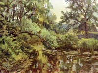 Summer Study of a Brook