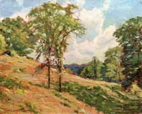 Summer Hillside