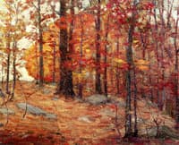 Northeastern Forest