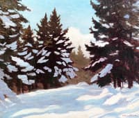 Snow on the Pines