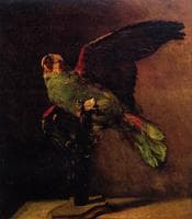 Stuffed Green Parrot