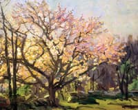 Spring Blossoms