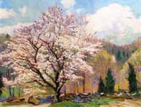 Tree in Bloom