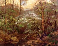 Stream in Spring