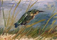 The Kingfisher