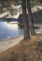 Firs near the Water