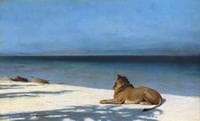 Solitude