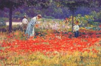Poppy Garden