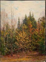 Spires of the Woods