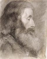 Head Study