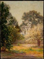 The Guava Tree