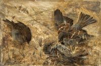 House Sparrows
