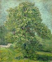 Horse Chestnut Tree in Blossom