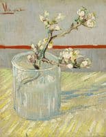 Sprig of Flowering Almond in a Glass