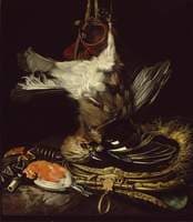 Still Life with a Dead Jay