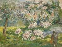 Apple Blossom in the Garden at Kingsley, Bushey