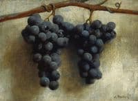 Grapes
