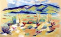 Sagebrush, New Mexico