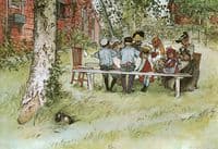 Breakfast under the big birch