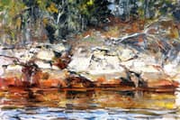Shore Study