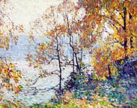 Tulip Poplars, Autumn
