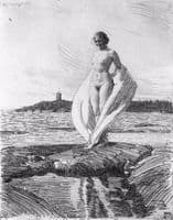 The Swan