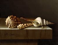 Still Life with Shells
