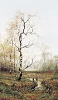 Forest in Spring
