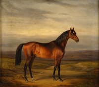 Brown Stallion with Landscape