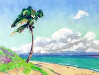 A Lone Palm Tree, Palm Beach