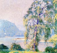 Water Birch - Summer