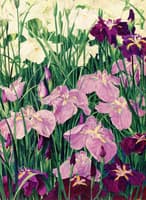 Irises