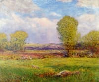 Evening Landscape
