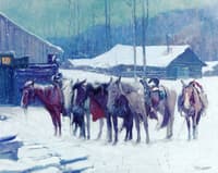 Horses in Winter