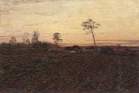 Evening