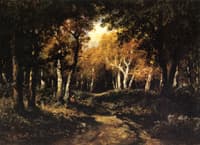 Forest Interior