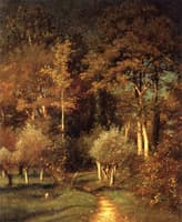Pathway in a Forest