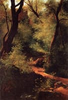 The Little Bridge in the Forest