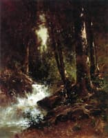 Fishing a California Stream