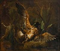 A Poodle Attacking a Bittern (after Oudry)