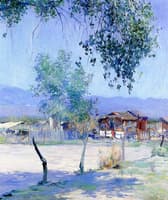 Palm Springs
