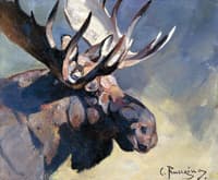Moose Head