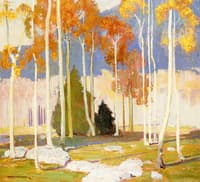 Aspen Trees