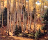 Aspens at Amizette