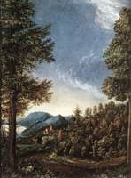 Danube Landscape with Castle Wörth near Regensburg