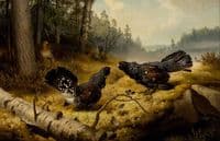 The Fighting Capercaillies