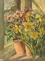 Pot Plants on a Windowsill