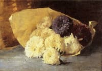 Asters