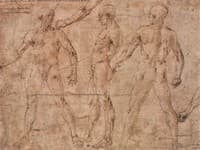 Different Studies (Standing Male Nudes and Arms)