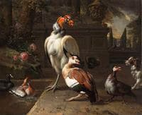 Exotic Birds in a Park